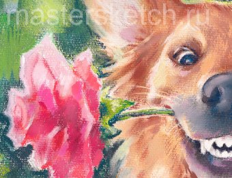 Собака и роза. Портрет в технике пастель. Фрагмент