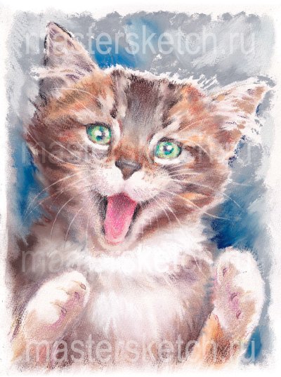 Портрет кота, рисунок